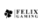 FelixGaming DanMil